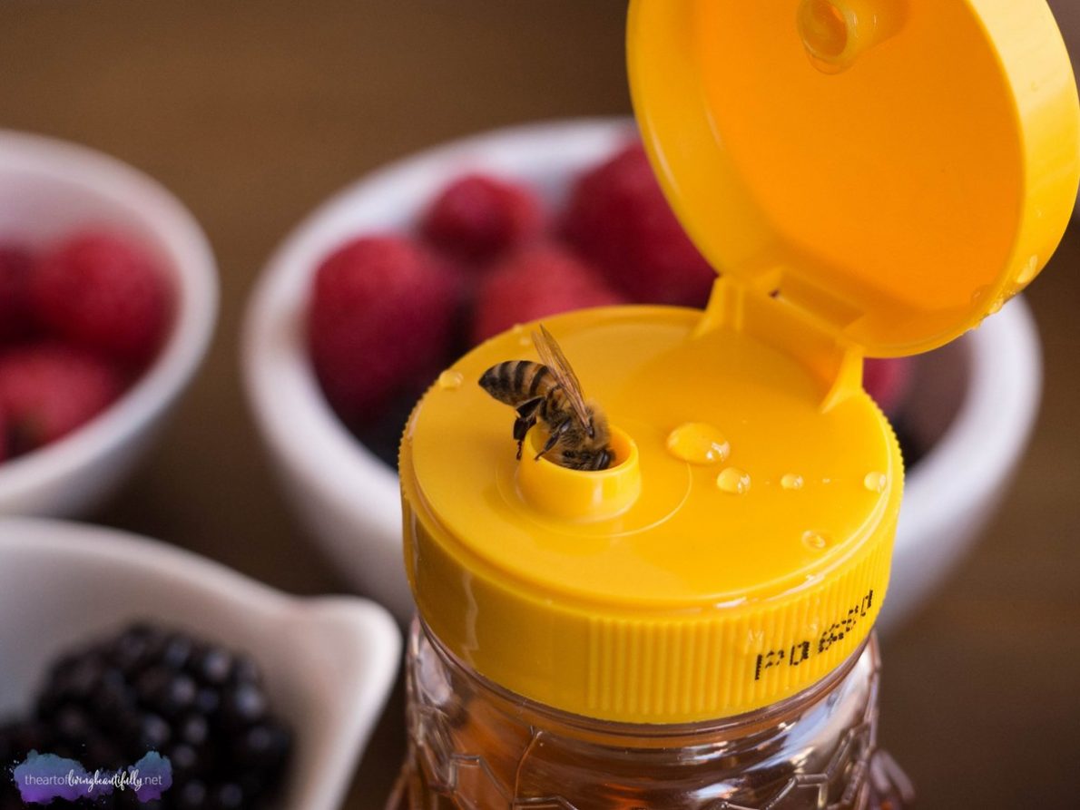 lauren-palmer-2-dallas-center-for-photography